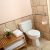 Romulus Senior Bath Solutions by Independent Home Products, LLC